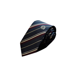 【刺篇】jk/dk制服原创设计刺绣学院风条纹蓝色衬衫领带男女新款