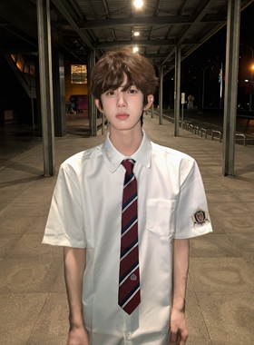 【刺篇】 原创DK制服短袖衬衫学院风上衣男款刺绣白色衬衣夏季