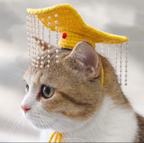 宠物帽子手工编织diy材料包自制钩针猫咪狗狗头饰帽子