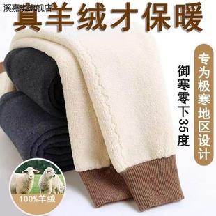 送棉袜 棉裤 羊驼绒羊羔绒保暖裤 秋裤 中年 男护腰护膝高腰打底裤