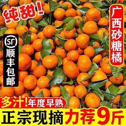正宗广西砂糖橘10斤新鲜水果当季超甜橘子精品无籽小沙糖桔子包邮