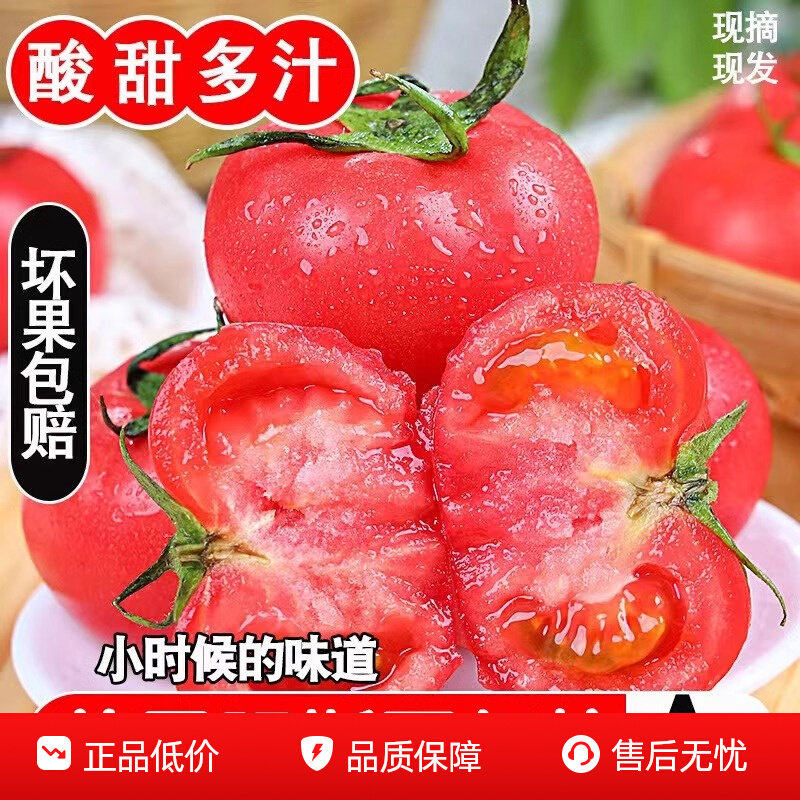 正宗普罗旺斯西红柿5斤自然熟沙瓤小番茄新鲜现摘蔬菜生吃水果3