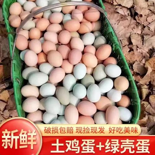 乌鸡蛋农产品土鸡蛋混合蛋