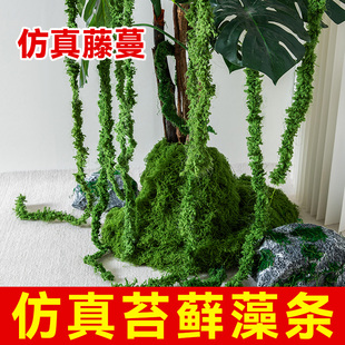 仿真苔藓造景仿真藤蔓藻条绿植藤条装饰垂吊植物鹿蕊烘干永生苔藓