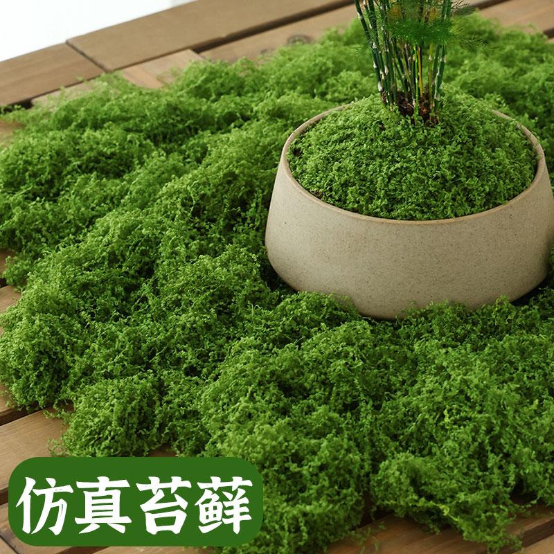 仿真苔藓草皮假青苔丝状仿生绿植盆栽人造景微景观花盆表面覆盖物