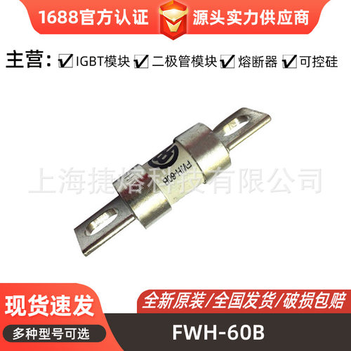 FWH-60B  FWH-150B 快速熔断器  保险丝 电子元器件 量大价优