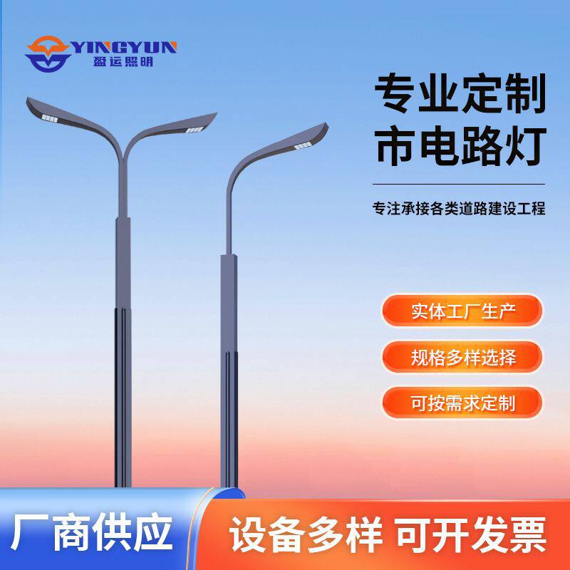 市政工程LED路灯220V6米8米10米户外防水新农村高杆市电路灯批发