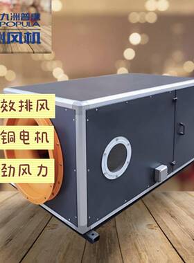 九洲普惠APF-A式空气净化箱式送排风机