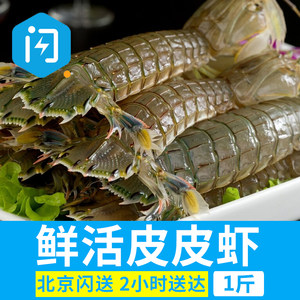 活的皮皮虾怎么保存?活的皮皮虾怎么保鲜?