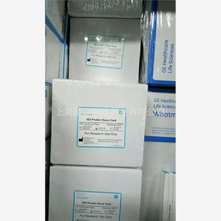GE WHATMAN 10534612 903 Protein Saver Card蛋白保存卡