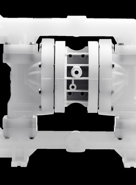 美国wilden威尔顿气动隔膜泵P4/SSAPP/TNU/TF/STF/0014