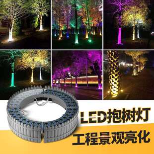 led抱树灯72W环形防水抱柱灯七彩变色景观射树灯户外照树灯投光灯