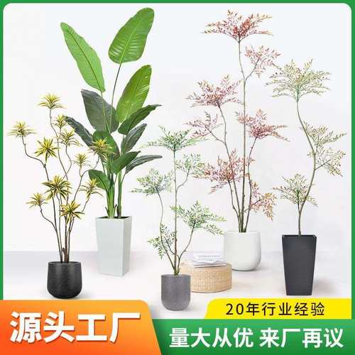 仿真绿植旅人蕉白边百合竹南天竹琴叶榕橡胶榕网红假绿植盆栽