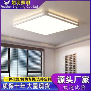 led超亮客厅吸顶灯大厅主卧室吊灯具全光谱现代简约大气广东中山