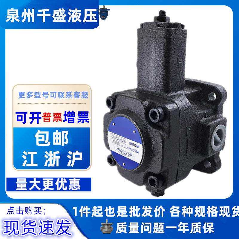 VB1-20FA3叶片泵VD1 VE1 VB1 VA1- 30F 40F 20F 15F 12F-A1 A2 A3