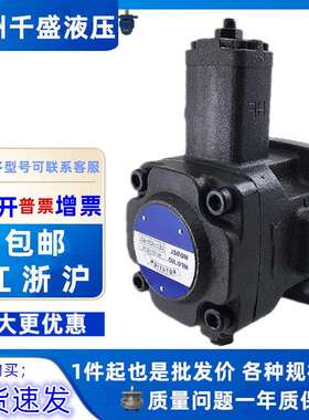 VB1-20FA3叶片泵VD1 VE1 VB1 VA1- 30F 40F 20F 15F 12F-A1 A2 A3