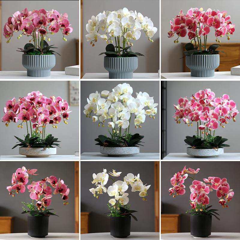 仿真花蝴蝶兰轻奢现代家居室内客厅餐厅装饰花摆设电视柜假花摆件