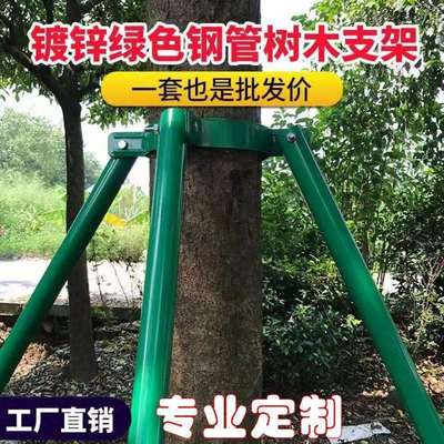 园林绿化树木支撑架子加厚防锈镀锌防风防倒支架子扶树固定器