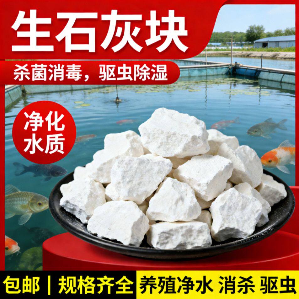 生石灰块10斤家用衣柜吸湿盒去除