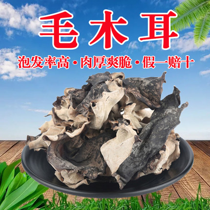 头茬毛木耳500g干货天然肉厚特产级生餐饮四川火锅白背脆干货商用