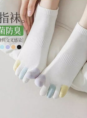 五指袜子女款夏季纯棉透气糖果色