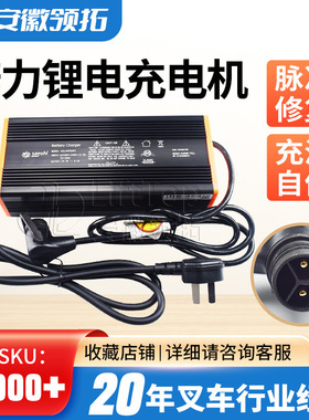 电动叉车配件诺力天罡小金刚充电器dzl300ss02车载锂电池充电机