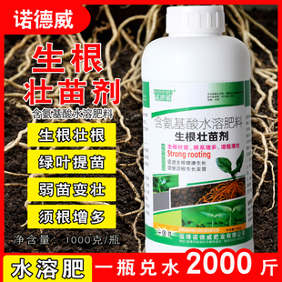 生根剂强力生根壮苗剂生根液生根粉植物果树蔬菜花卉生根专用肥料