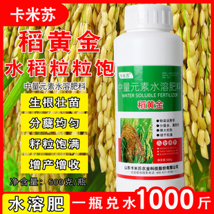 稻黄金水稻专用肥秧苗壮秧剂促进分蘖灌浆肥水稻抗倒伏增产叶面肥