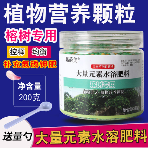 榕树肥料专用肥榕树肥料琴叶榕人参榕观叶复合肥有机颗粒缓释肥