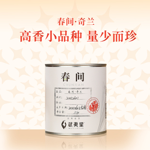 武夷岩茶特级奇兰35g 武夷星旗舰店大红袍茶叶春间小罐装 新品