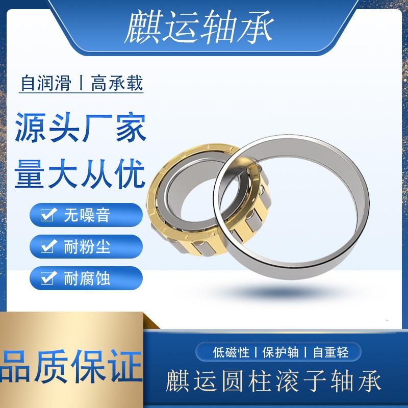 圆柱滚子轴承高速旋转 高速 高负载 精度高NU/NJ/NF230-238EM(P5)