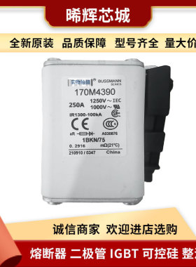 170M5812D 170M5815D 库存充足现货户外跌落式熔断器 电子元器件