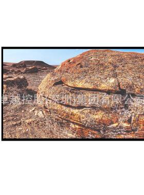 19寸户外高亮液晶显示器 1500cd/㎡ 高清宽温屏 广告屏