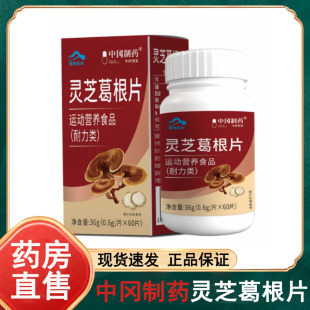 植物草本中冈制药灵芝葛根片60片/瓶官方大药房旗舰店正品wy