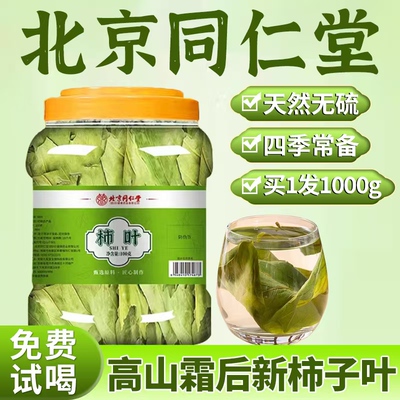 北京同仁堂柿子叶干新密茶新鲜血压柿叶降斑霜后压河南叶非野生xl