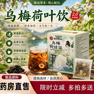 乌梅荷叶饮消消茶官方旗舰店正品山楂消消茶饮代用茶2yb
