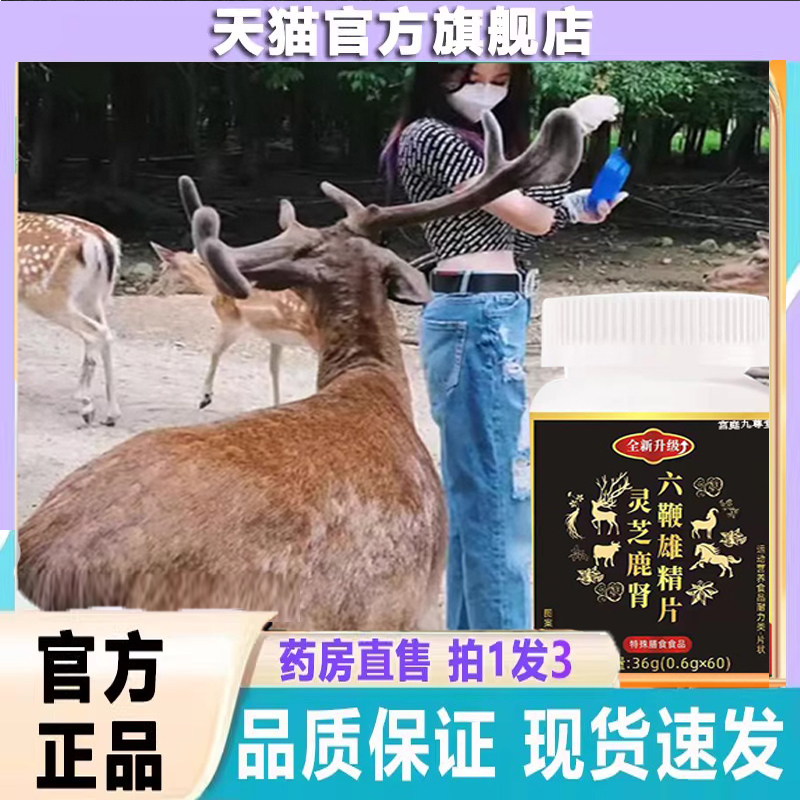 灵芝鹿肾六鞭雄精片官方旗舰正品精选原料草本萃取匠心品质9dp