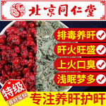 茵陈五味子茶组合中材药房原料泡水的功效与作用菌阵和独立包装xl