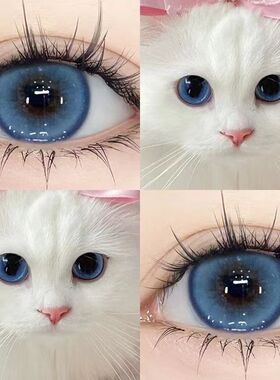 天使冰蓝美瞳半年抛混血大直径蓝色一年抛隐形眼镜正品官网5ST