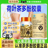源生堂牌荷叶茶多酚胶囊加强版 天使金正品 药房直售蓝帽认证胶7xb