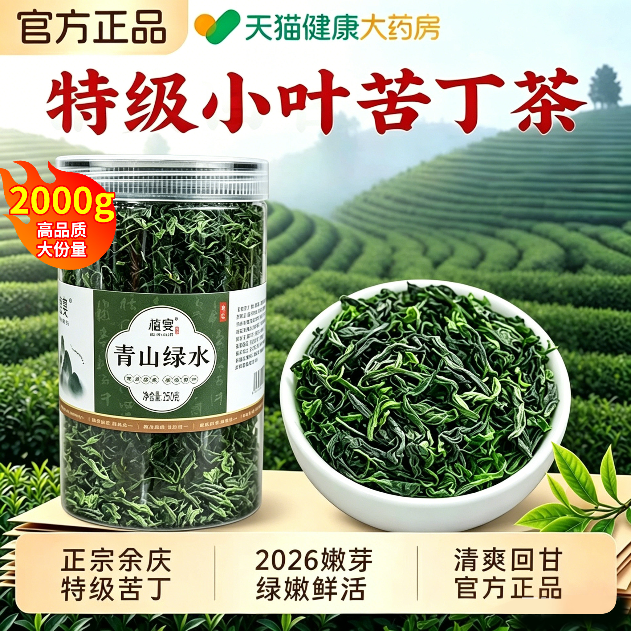 2026余庆野生特级小叶苦丁茶新茶