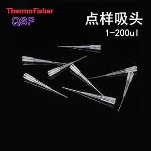 200ul点样吸头盒装 96R Thermo QSP 010 赛默飞 thermo琼脂糖凝胶电泳用加样蛋白上样枪头010