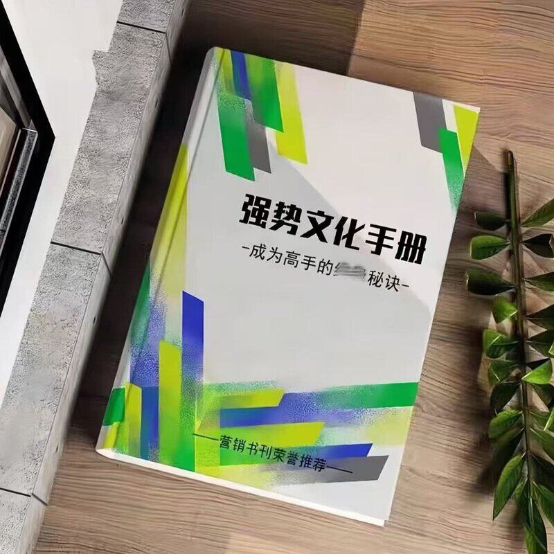 强势 文化手册 343页 读懂少奋斗20年 认知觉醒手册 强者思维图片