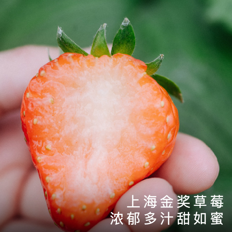 饱记白鹤红颜草莓350g*3盒装新鲜香甜可口果香浓郁礼盒水果