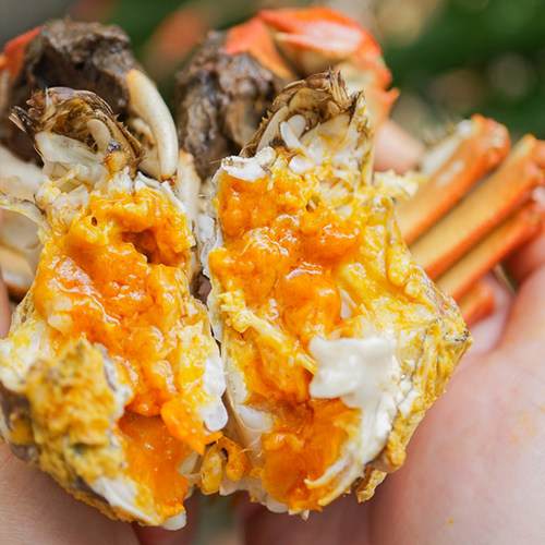 肉多个大 蟹黄饱满 味道鲜香 好吃不贵