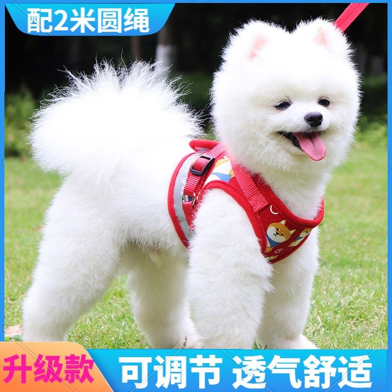 狗狗牵引绳背心狗绳式狗链子小型犬泰迪比熊博美小狗背带遛狗绳子