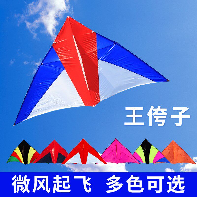 新款544软伞布成人专业微风易飞王侉子风筝可定制多色抗大风