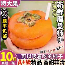 北京特大磨盘柿10斤整箱软甜懒柿磨盘盆柿当季水果软柿子新鲜