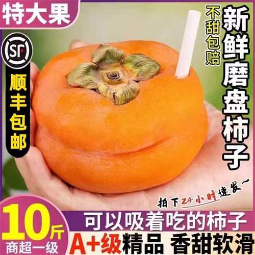北京特大磨盘柿10斤整箱软甜懒柿磨盘盆柿当季水果软柿子新鲜