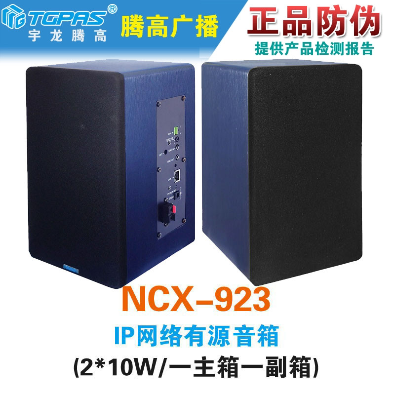 IP网络有源壁挂音箱解码终端腾高
